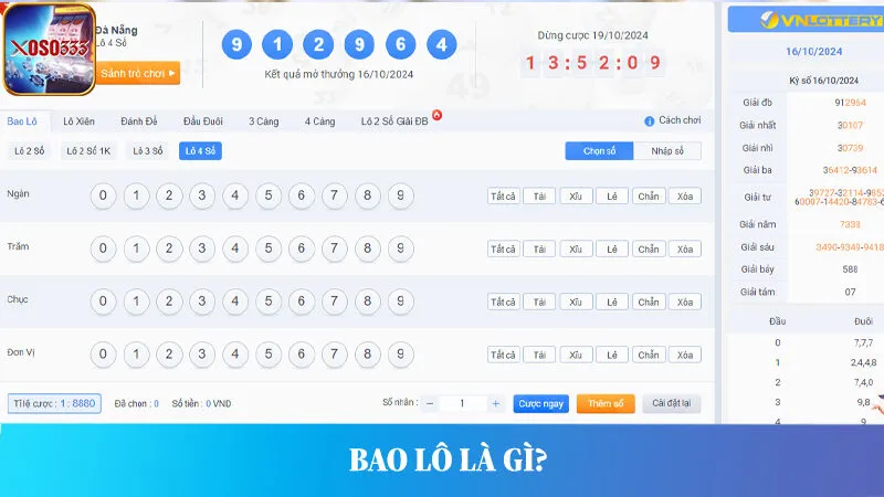 Bao lô là gì? Giải đáp chi tiết