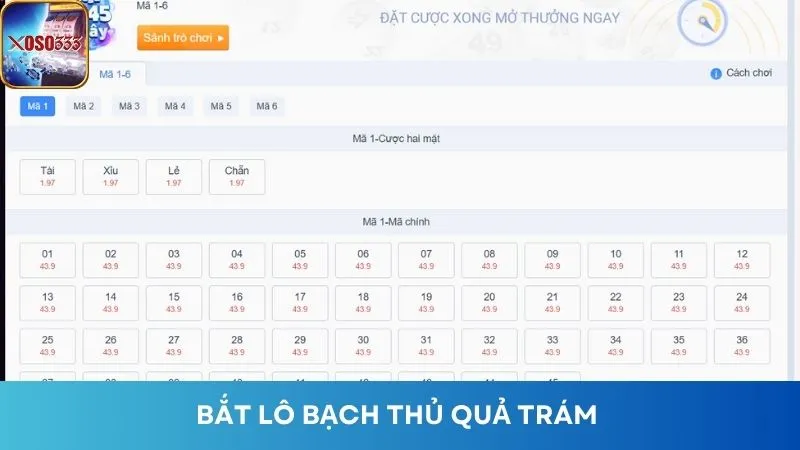 Có thể bắt lô bạch thủ hình quả trám để dễ dàng thắng cược hơn