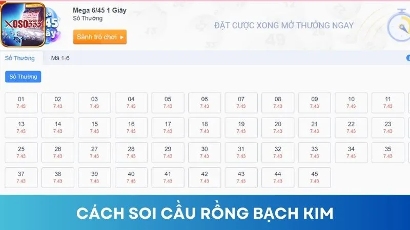 Cách thức soi cầu Rồng Bạch Kim đơn giản, dễ thực hiện