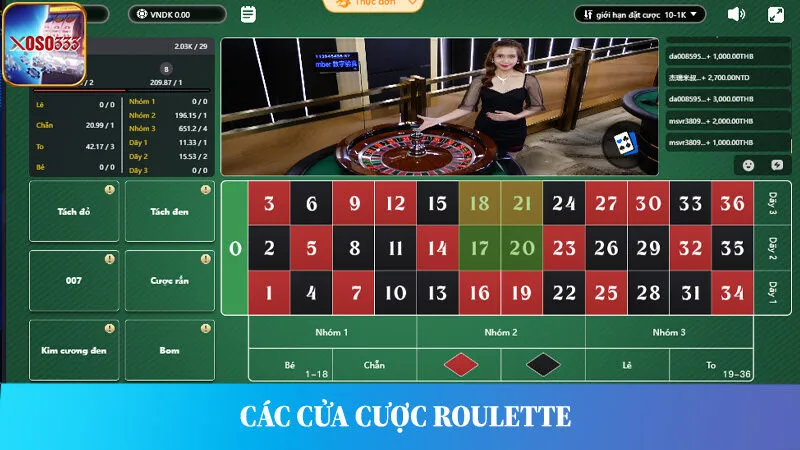 Các cửa cược khi tham gia chơi giải trí Roulette tại nhà cái.