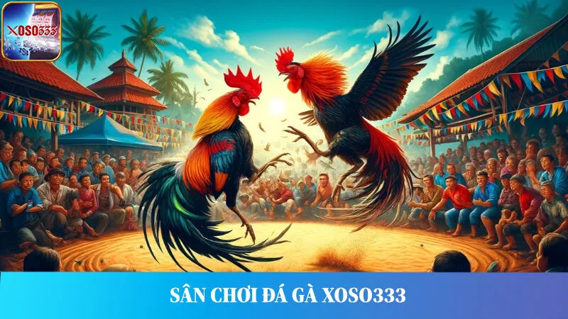 Đá Gà Xoso333 – Kịch Tính Tới Từng Phút Giây, Tỷ Lệ Thưởng Lớn