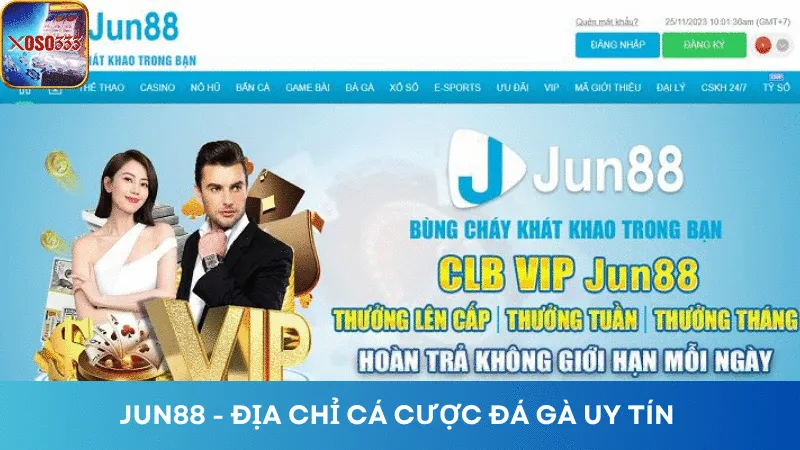 Jun88 mang đến những trận đá gà hấp dẫn cho mọi người