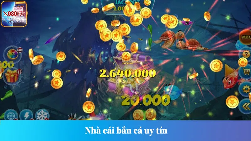 Top 5 Nhà Cái Bắn Cá Uy Tín Nhất Hiện Nay - Săn Thưởng Lớn