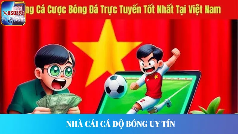 Tổng Hợp 5 Nhà Cái Cá Độ Bóng Uy Tín Hàng Đầu Việt Nam