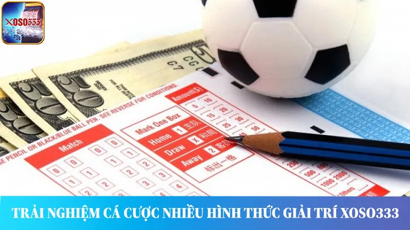 Trải nghiệm cá cược nhiều hình thức giải trí hấp dẫn tại sân chơi Xoso333.