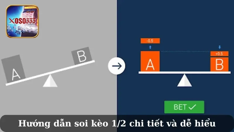 Tỷ lệ kèo bóng đá 1/2