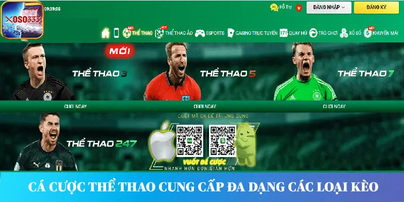 Cá cược thể thao tại FB88 cung cấp đa dạng các loại kèo cược