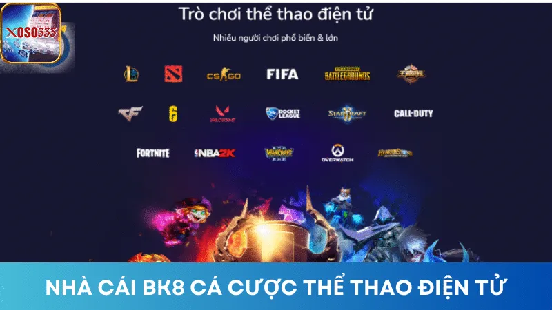 Nhà cái BK8 là thương hiệu nổi bật trên thị trường