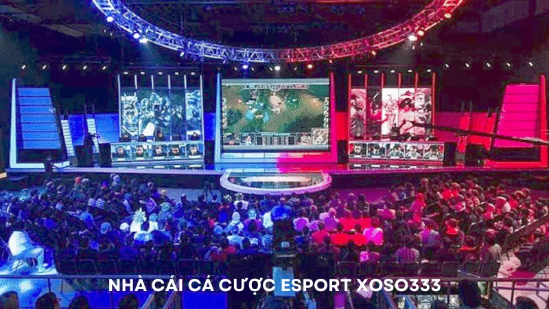 Xoso333 là địa chỉ cá cược eSport hàng đầu tại Việt Nam