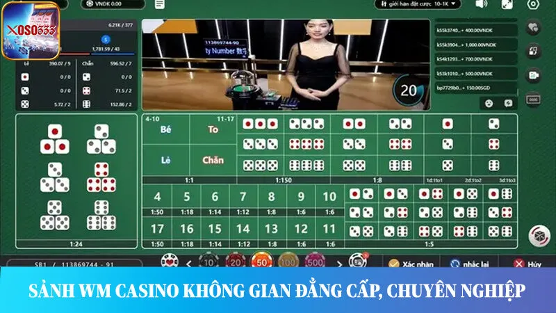 Thiên đường nhà cung cấp WM Casino - Không gian đẳng cấp, chuyên nghiệp.