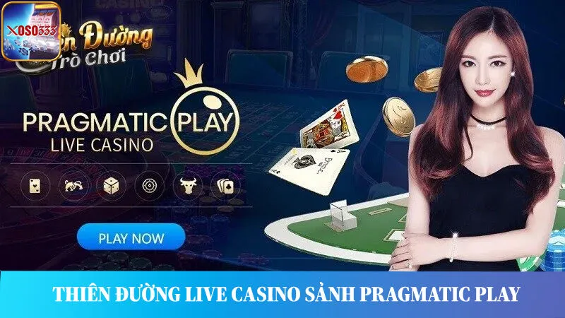 Thiên đường giải trí sảnh Pragmatic Play.